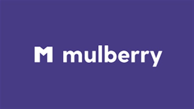 استارتاپ اینشورتک Mulberry در سال 2018 در آمریکا تاسیس شده است و طی سه سال گذشته توانسته است به کمک بخصوص مدل کسب و کار خود که در مقایسه با سایر صنایع در صنعت بیمه تازه است به موفقیت های چشمگیری دست پیدا کند.